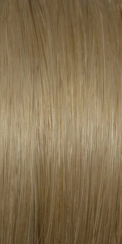 Human hair extension color swatch #10
