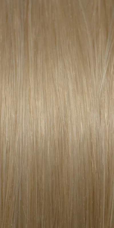 Human hair extension color swatch #22