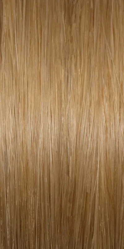 Human hair extension color swatch #27