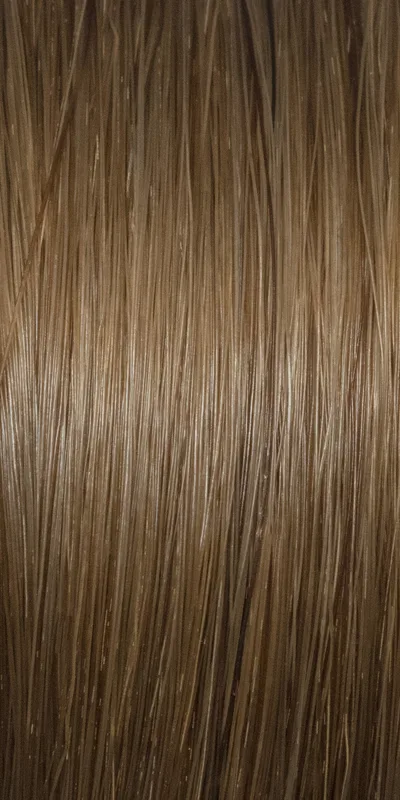 Human hair extension color swatch #6