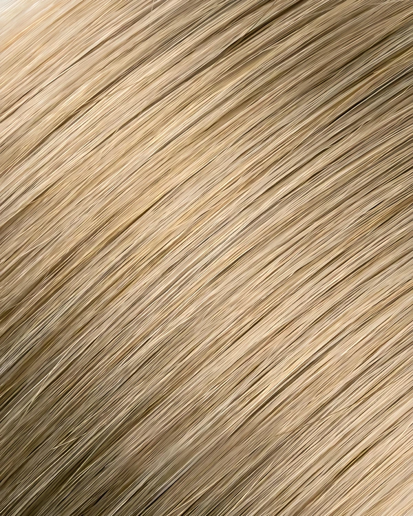 Epoche #18 Beige Blonde human hair extension color swatch