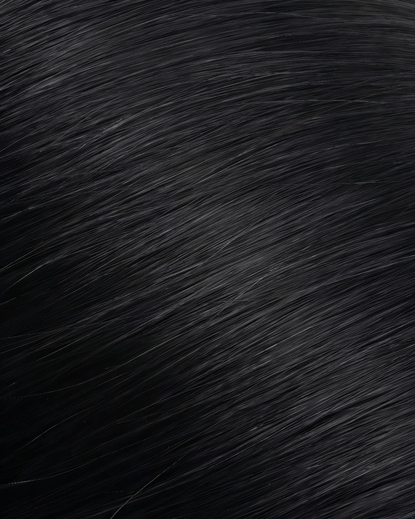 Epoche #1 Jet Black human hair extension color swatch