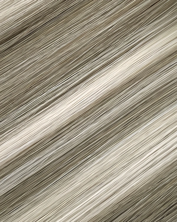 Epoche #BE557 Silver Beige human hair extension color swatch