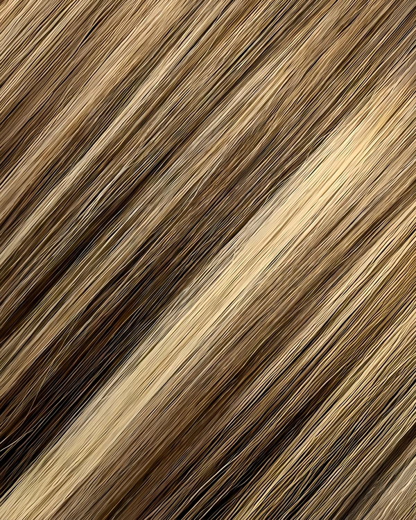 Epoche #BE816 Vanilla Espresso human hair extension color swatch
