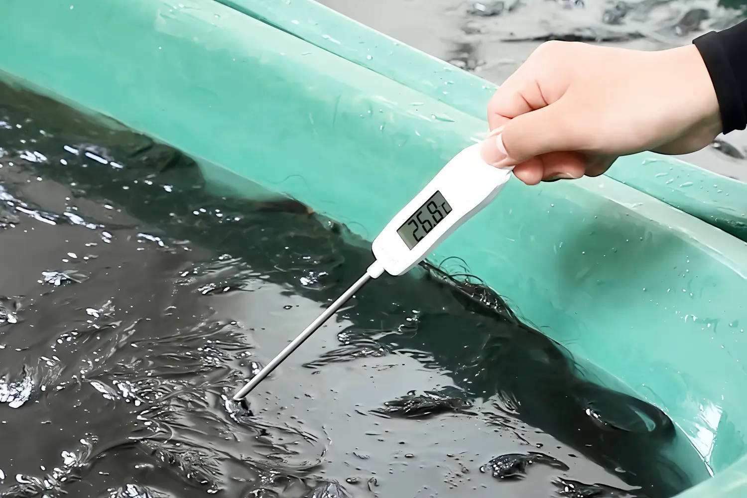 Temperature being checked during wet processing of dark human hair